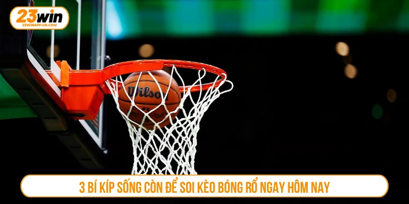 3 bí kíp sống còn để soi kèo bóng rổ ngay hôm nay