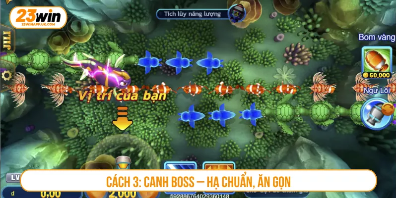 Cách 3: Canh boss – Hạ chuẩn, ăn gọn