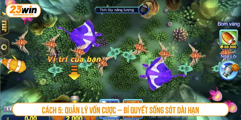 Cách 5: Quản lý vốn cược – Bí quyết sống sót dài hạn