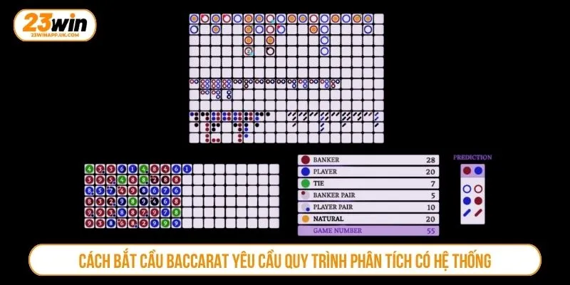 Cách bắt cầu baccarat yêu cầu quy trình phân tích có hệ thống