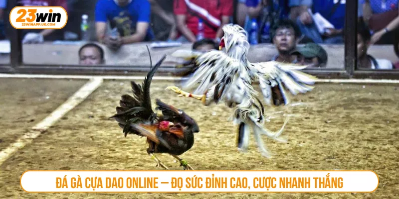 Đá Gà Cựa Dao Online – Đọ Sức Đỉnh Cao, Cược Nhanh Thắng