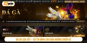 Đá Gà Cựa Sắt – So Tài Đỉnh Cao Giữa Những Chiến Kê