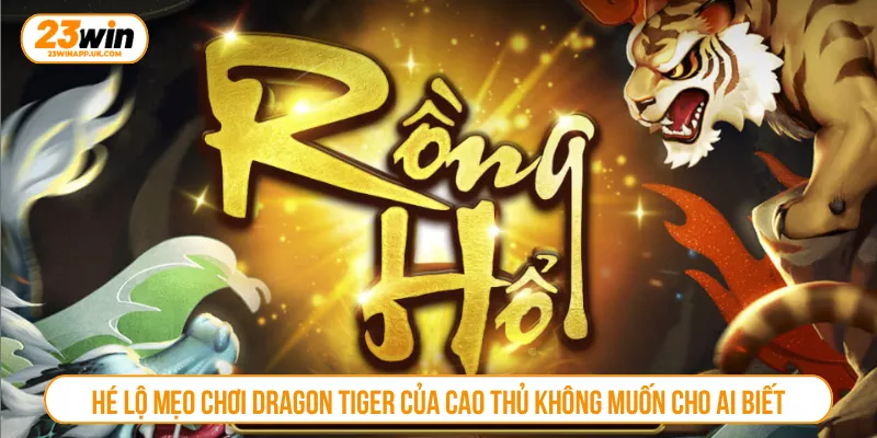 Hé Lộ Mẹo Chơi Dragon Tiger Của Cao Thủ Không Muốn Cho Ai Biết