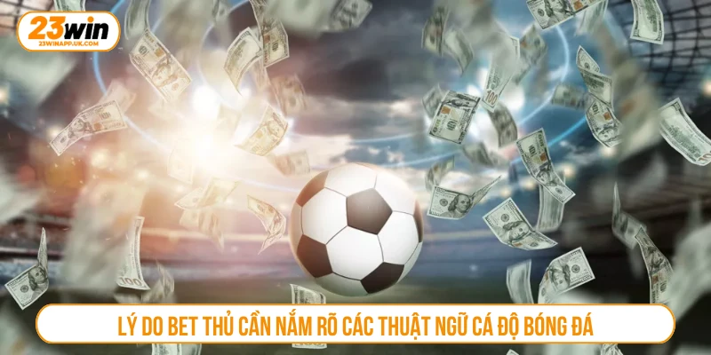 Lý do bet thủ cần nắm rõ các thuật ngữ cá độ bóng đá