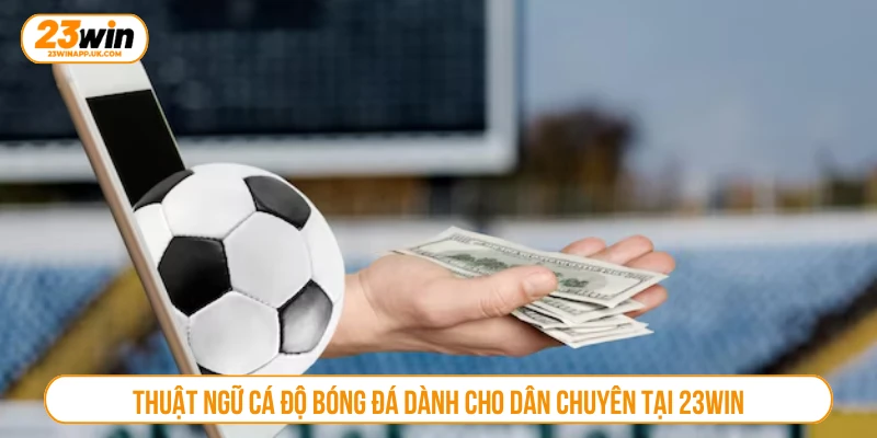 Thuật ngữ cá độ bóng đá dành cho dân chuyên tại 23WIN
